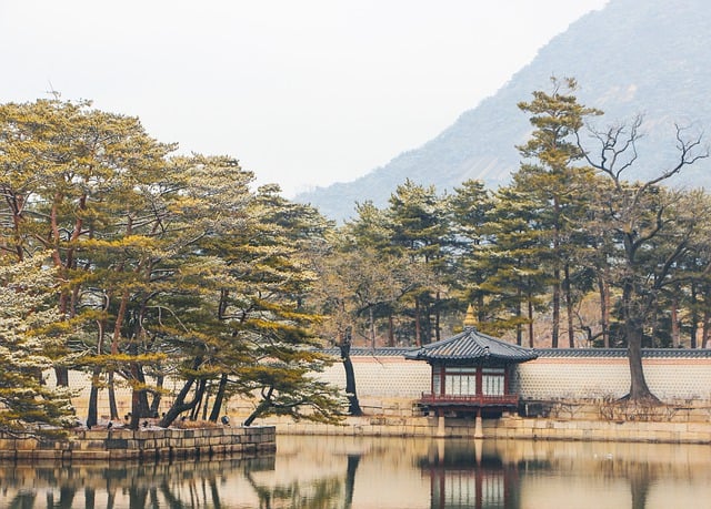 일제강점기 문화재 보호 운동과 그 의의 알기