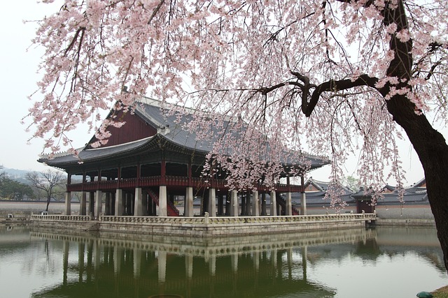 병자호란 그 군사적 대응과 외교적 교훈 살펴보기