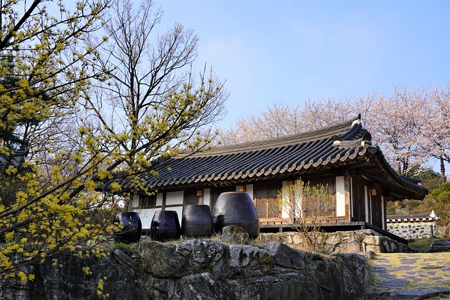일제강점기 조선 민속문화 보호 운동의 중요성 알기 반드시 알아야 할 이유